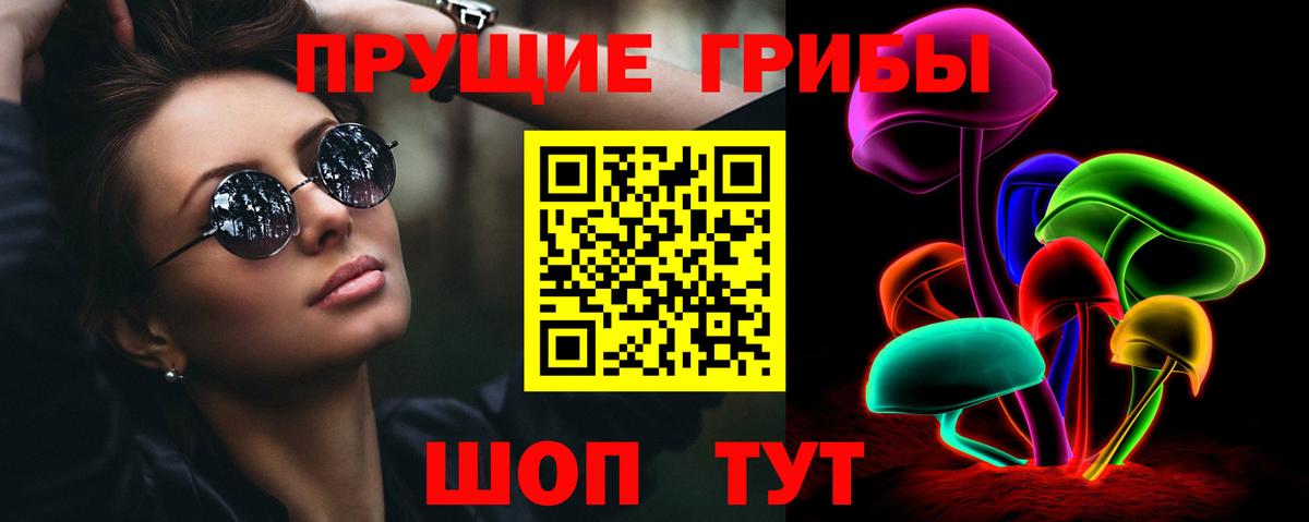 купить наркотик  Вход с VPN  Королёв  Псилоцибиновые грибы MAGIC MUSHROOMS 